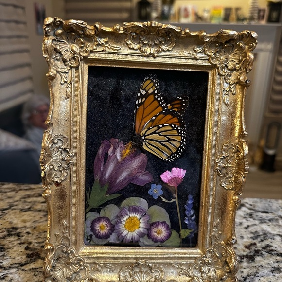 Unique Rare Pressed Flowers and Genuine Butterfly taxonomy Floral Art. - Picture 3 of 12